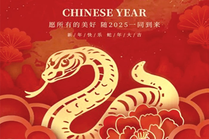 the Year of the Snake
